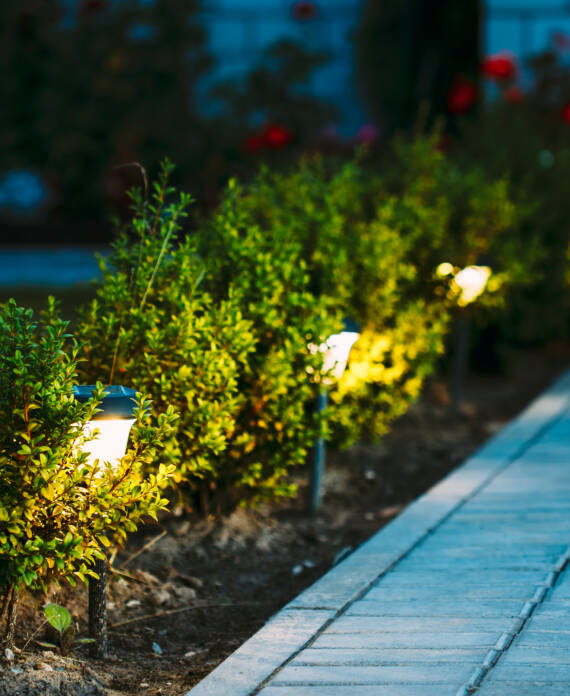 Night View Of Flowerbed With Flowers Illuminated By Energy-Saving Solar Powered Lanterns Along Path Causeway On Courtyard Going To The House